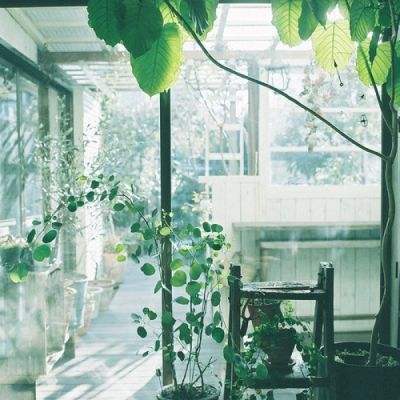 亚博app(中国)官方网站