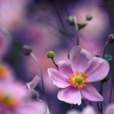 开元ky888棋牌开元登录