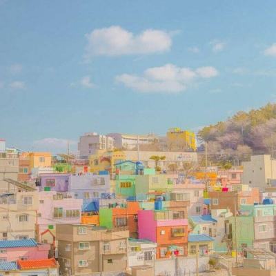 九游会agapp下载