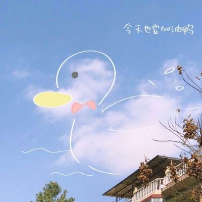 AOA体育官方入口