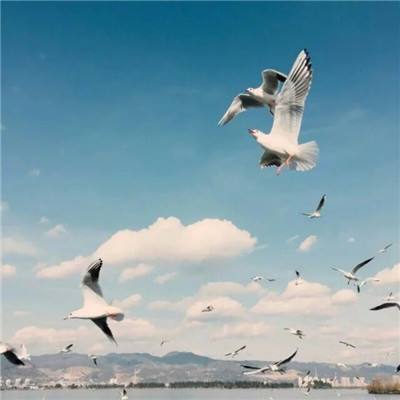 九游会AG下载手机版