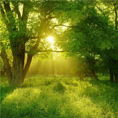 星空体育app下载下载手机版