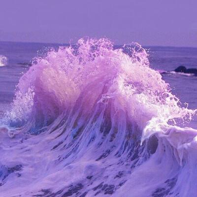 bob手机网页版登录入口