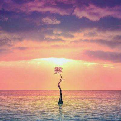 半岛棋牌游戏app下载